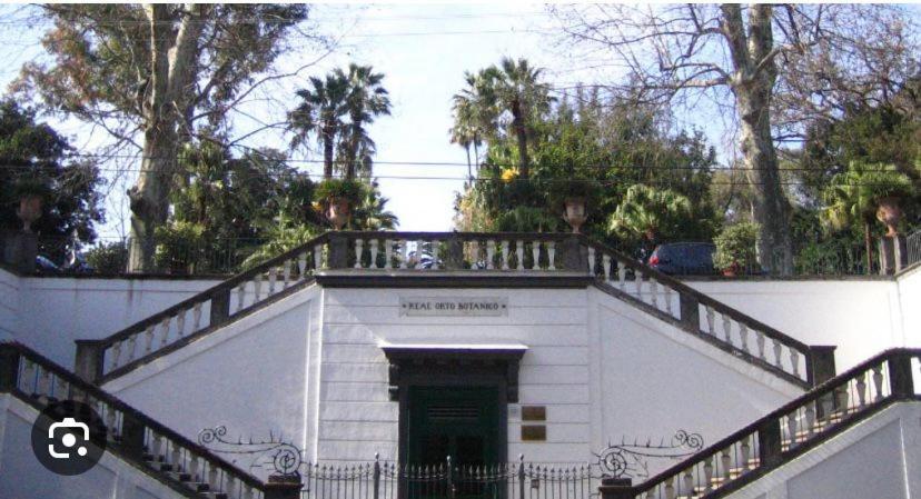 La Dimora Di Antonella Villa Napels Buitenkant foto